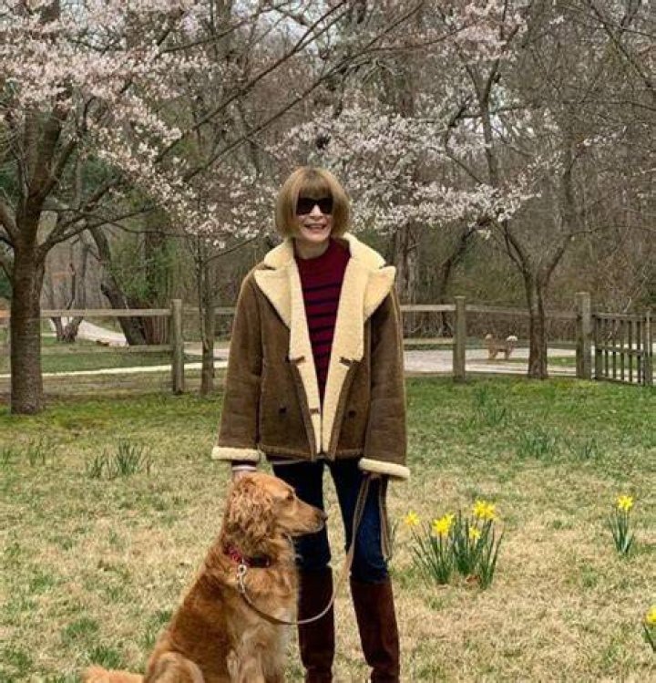 Anna Wintour Pets