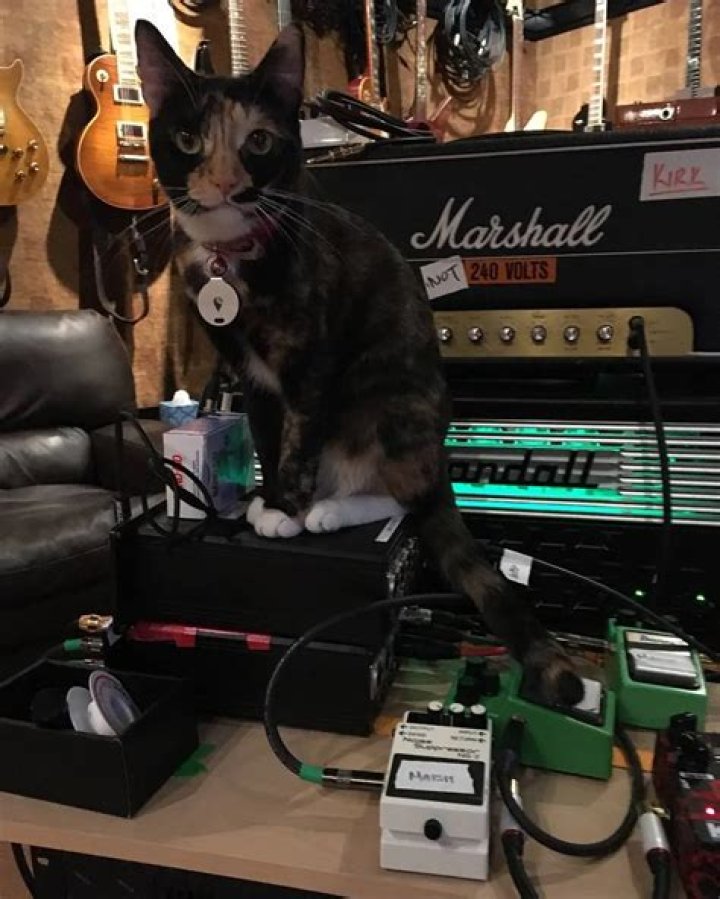 James Hetfield Pets