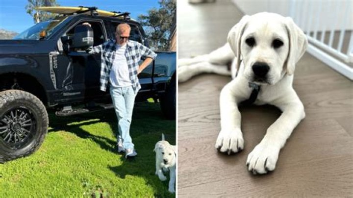 Kevin Costner Pets
