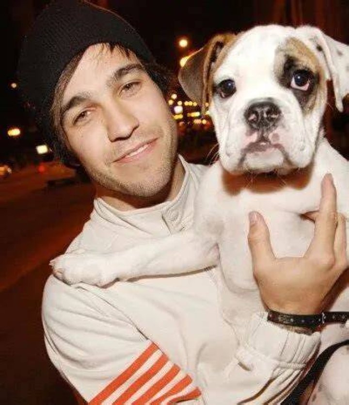 Pete Wentz Pets